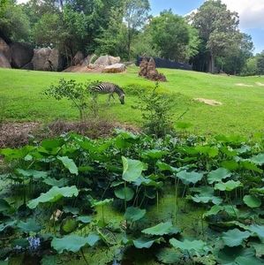 Meet your Posher, Alexia